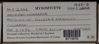 Image Associated With the Occurence